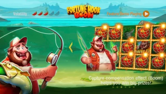 Fortune Hook Boom