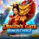Dragon's Gate Bonus Choice