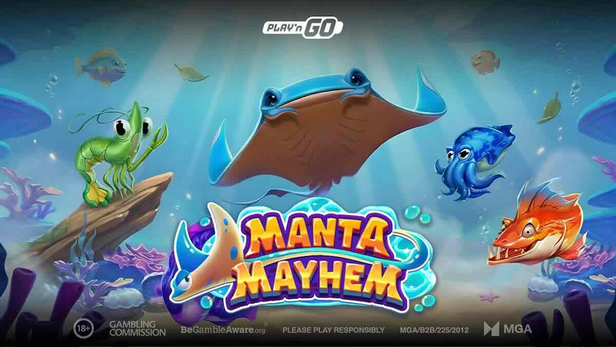 Manta Mayhem
