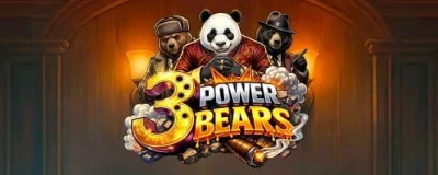 3 Power Bears