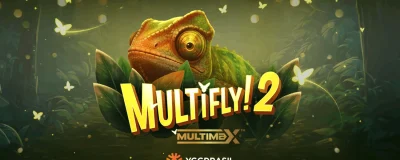 MultiFly! 2