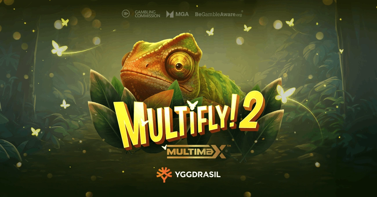 MultiFly! 2