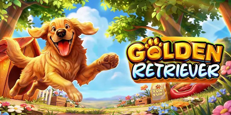 Golden Retriever